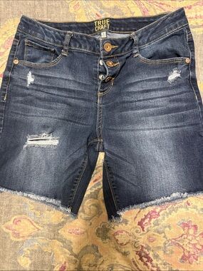 True Craft youth Dark Blue Distressed Denim Shorts